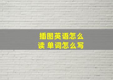 插图英语怎么读 单词怎么写